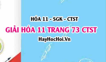 Giải Hóa 11 trang 73 SGK Chân trời sáng tạo